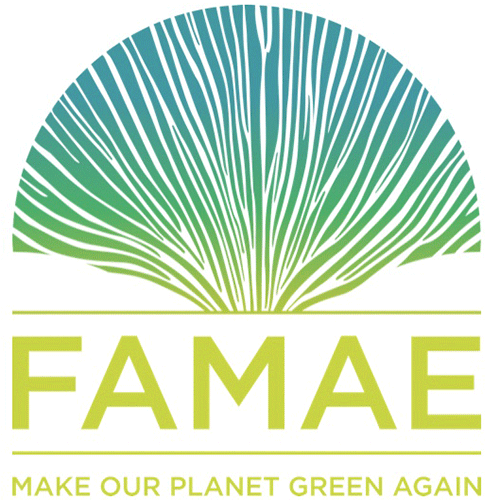 Logo FAMAE